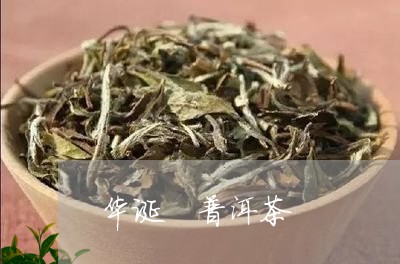 华诞 普洱茶/2023042888613